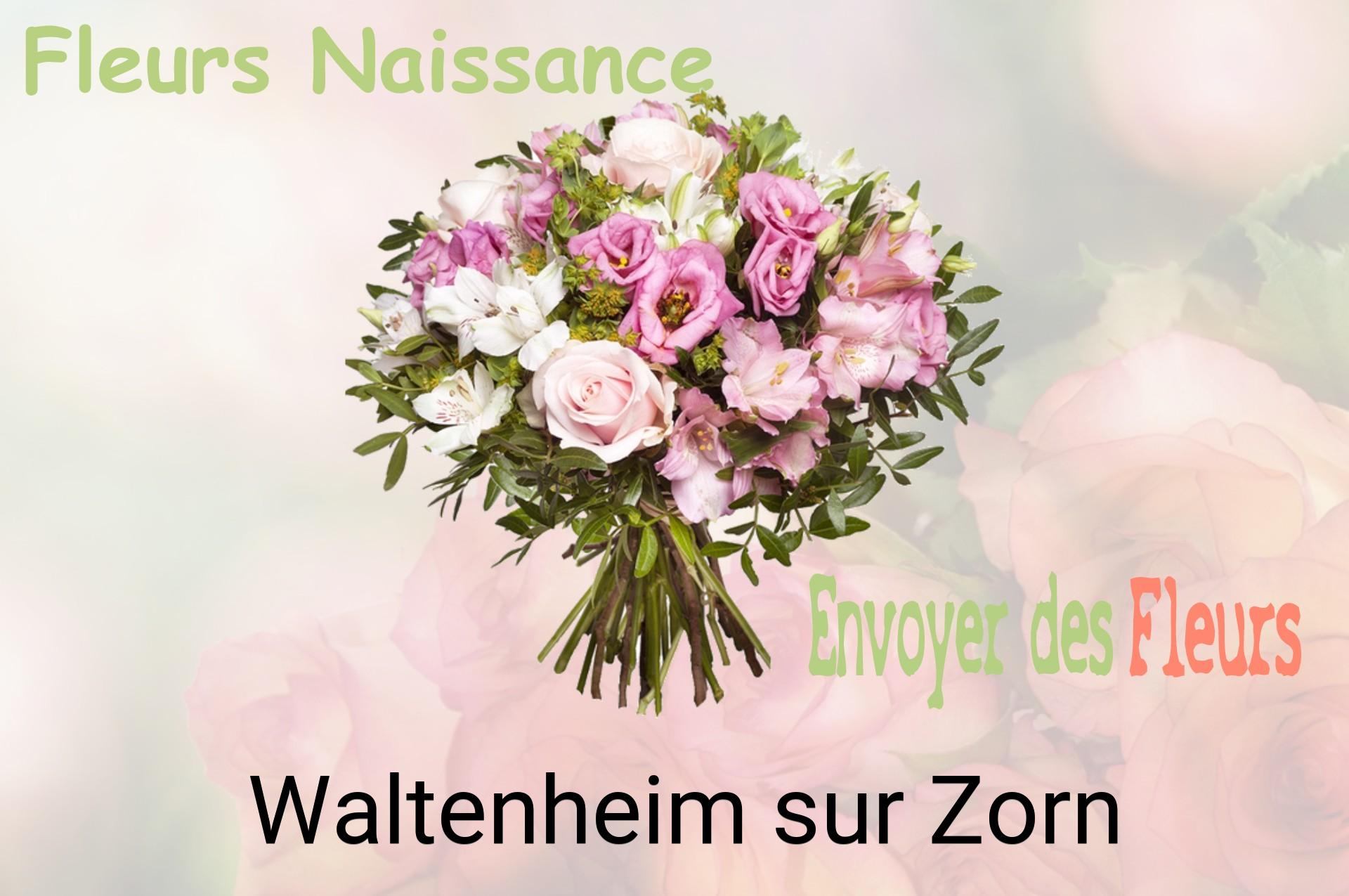Bouquet de fleurs de naissance livré à Waltenheim-sur-Zorn